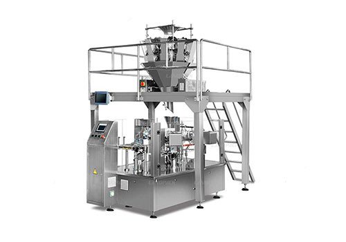 Block and Granular Doypack Packing Machine for Pre-made Pouch LD-8200A/LD-8250A
