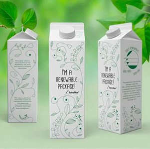 Ученые Пермского Политеха нашли инновационный способ переработки продуктовых картонных упаковок Тетра-Пак