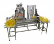 SILVER - Automatic Bottle Filling and Capping Machine 