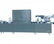 DPP-250