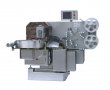 SWM300