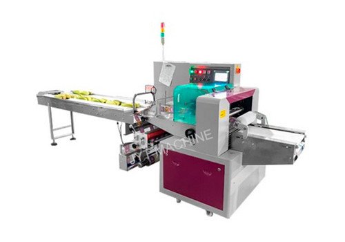 Fully Automatic Horizontal Pillow Bag Fruit and Vegetable Packing Machine JYT-250X/350X/450X/600X