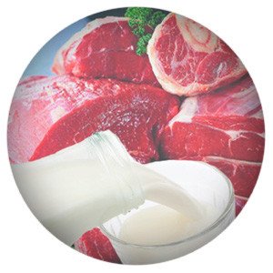 По итогам прошлого года экспорт мясной и молочной продукции из России вырос на 30% - «Агроэкспорт» 