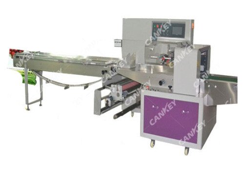 Automatic Fruit Apple Packaging Machine CK-ZS600X