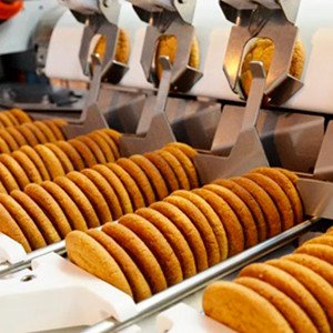 Доля импортного оборудования в пищевой отрасли РФ снизилась до 47%