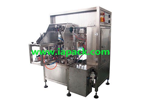 ZG1-300  Pre-made Pouch Packing Machine 