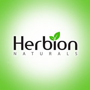 Пакистанская компания изучает возможности создания фармпроизводства в Обнинске