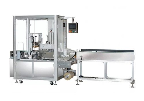 WS-601 Horizontal Packing Machine