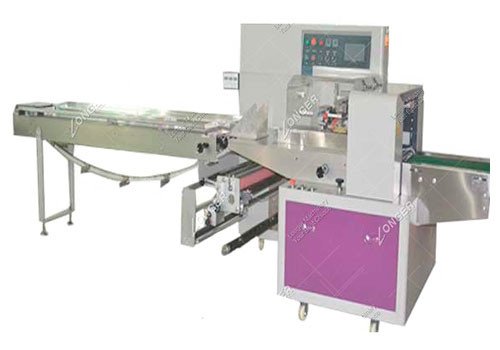 Automatic Fresh Leafy Vegetable Packaging Machine LG-600