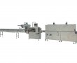 RS-600W 