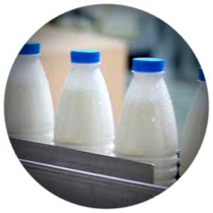Фермерам в РФ компенсируют 50% затрат на оборудование для маркировки молочной продукции