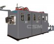 Disposal Cup Thermoforming Machine