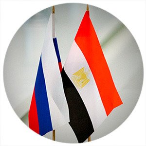 Россия и Египет договорились о совместном создании радиофармацевтических препаратов