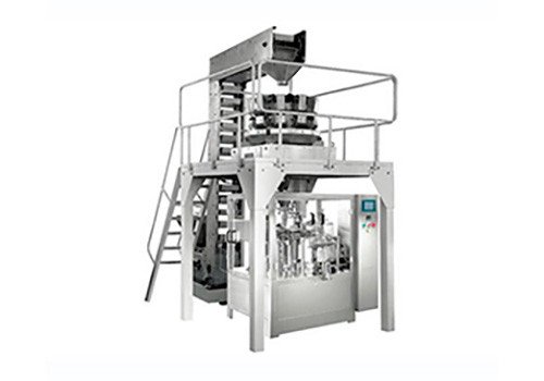RH-6/8-200G Pre-made Bag Type Automatic Packaging Machine
