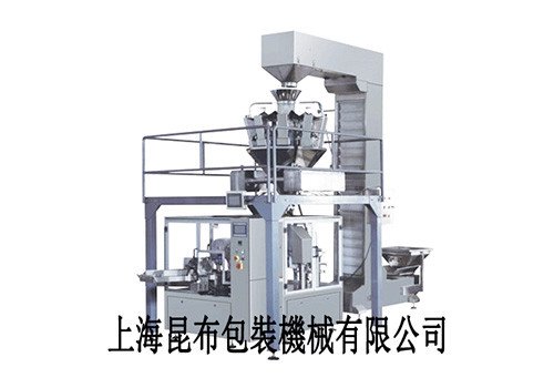 KG-K Automatic Bag Filling and Sealing Machine