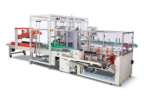 YL-550 Case Packer Machine
