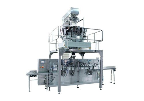 XH-6/8-200G Automatic Particle Bag Packing Machine