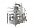 Automatic Plantain Chips Rotary Premade Pouch Packing Machine 