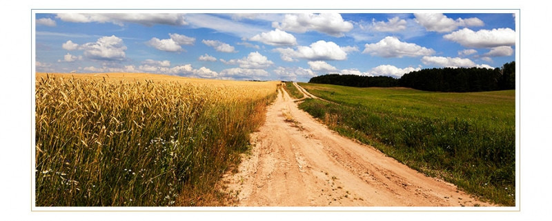 Минсельхоз РФ предлагает увеличить финансирование программы развития сельских территорий