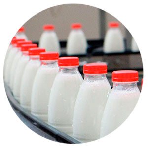 В Саратовской области выросло производство молочной продукции