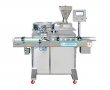 Automatic Disc type Counting and Filling Machine