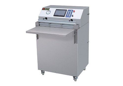 DZQ-600W