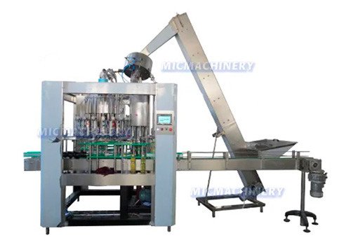MIC 18-6 Edible Oil Filling Machine 