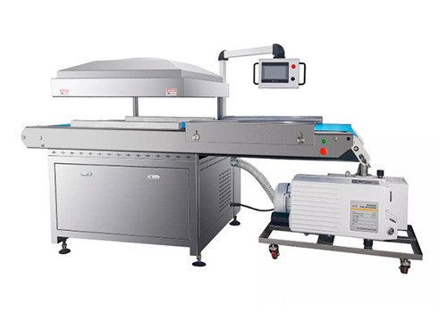DZQ-800C Fully Automatic Meat Food Continuous Vacuum Packaging Machine