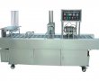 BG32V/60V 