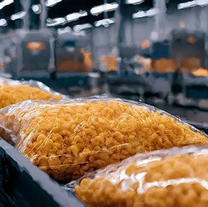 РФ может нарастить долю отечественного оборудования для пищепрома до 62% к 2030 году
