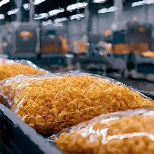 РФ может нарастить долю отечественного оборудования для пищепрома до 62% к 2030 году