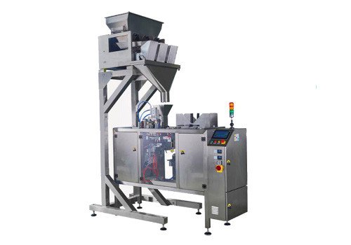Granule Biscuit Automatic Flow Packing Machine CP320-M DP300-WL 