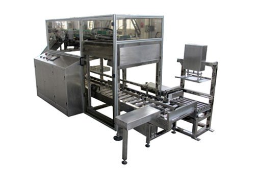 Automatic Case Filling Machine for Soft Bag 