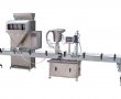 Automatic Particle Packaging Line 